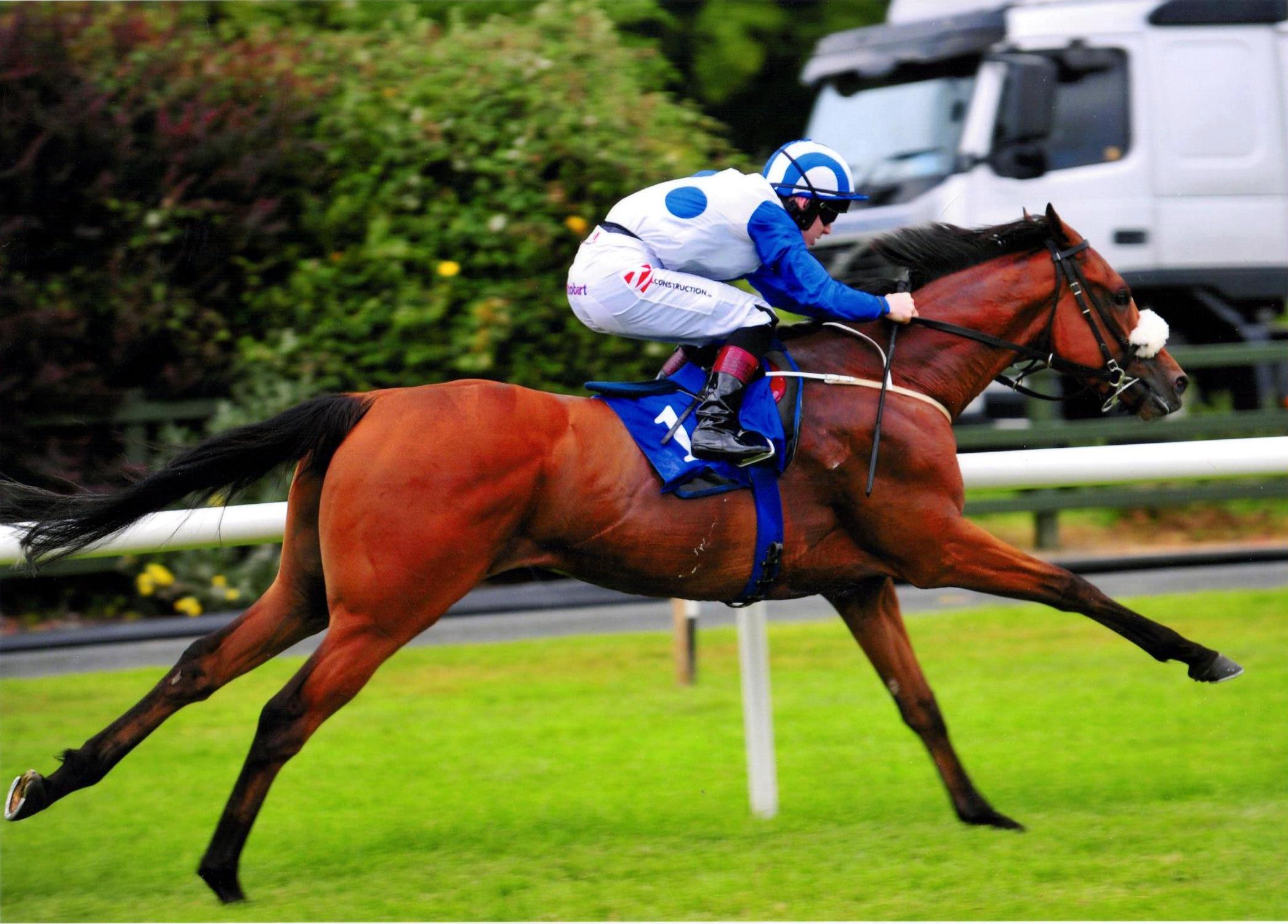 KUBALI gets the job done in tremendous style at the Killarney Festival 18th August 2016